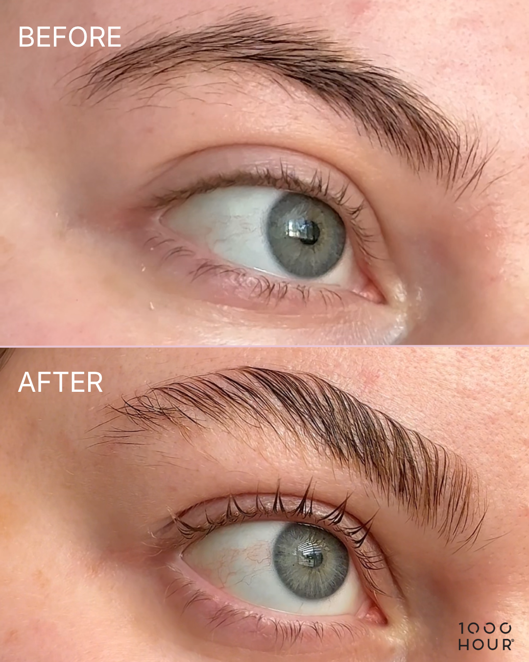 Brow Lamination Kit